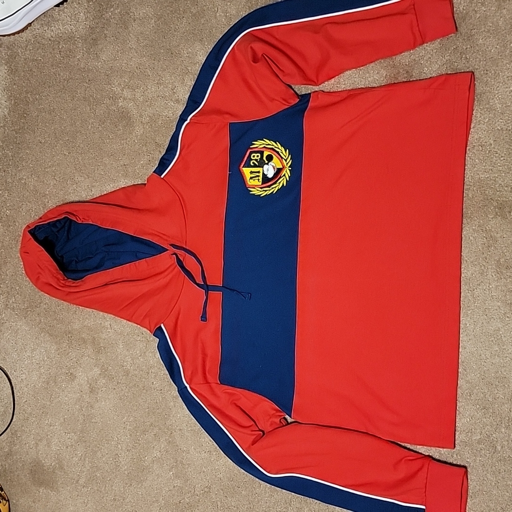 DISNEY CROPPED HOODIE